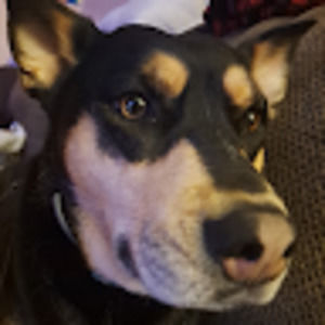 Meet your Posher, Ethan